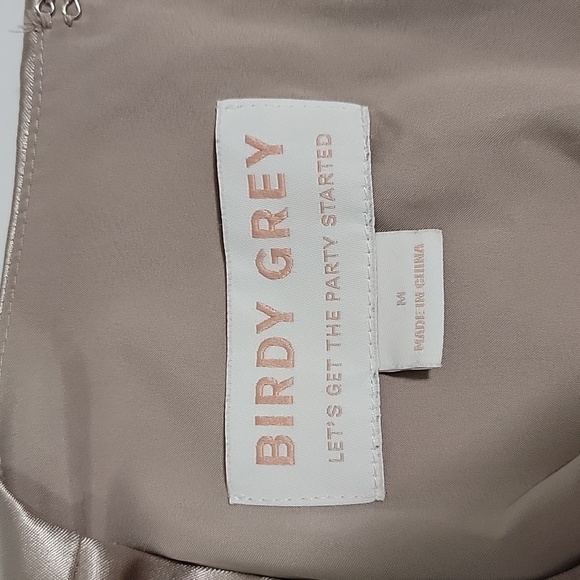 BIRDY GREYJESSE DRESS SHINY SATIN TAUPE DRESS/ SIZE  M. - Picture 6 of 14